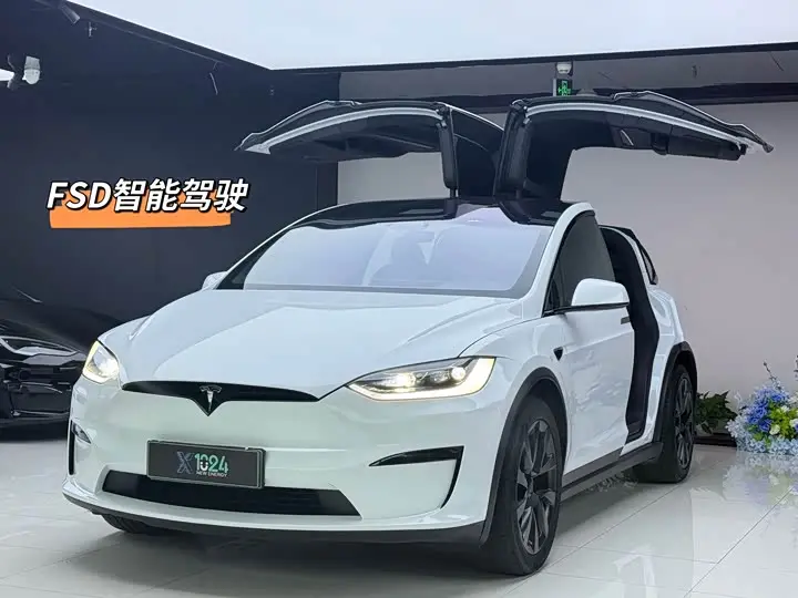Tesla Model X 2023, арт. CN-3596831 — фото 1