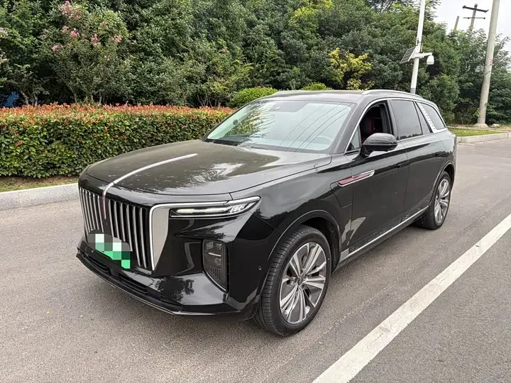 Hongqi E-HS9 2021, арт. CN-3596903 — фото 1