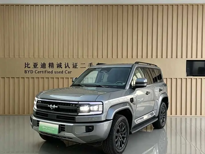 BYD FangChengBao Leopard 5 2025, арт. CN-3597701 — фото 1