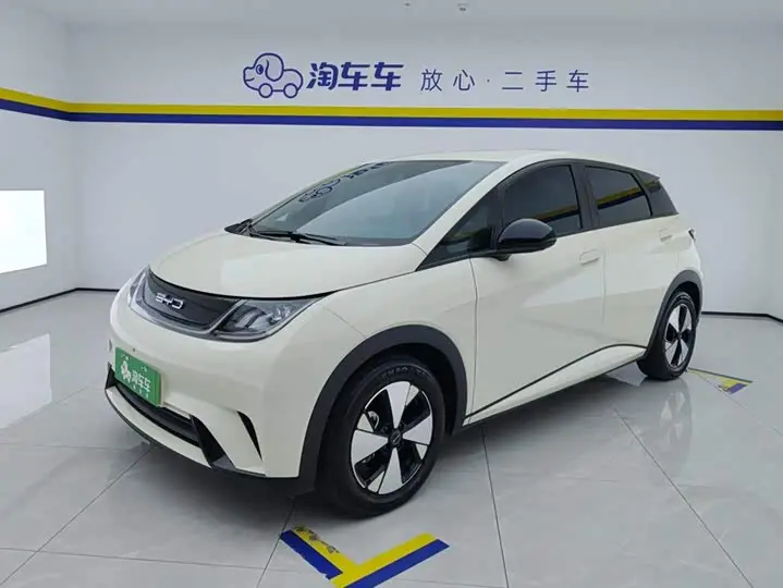 BYD Dolphin 2023, арт. CN-3598018 — фото 1