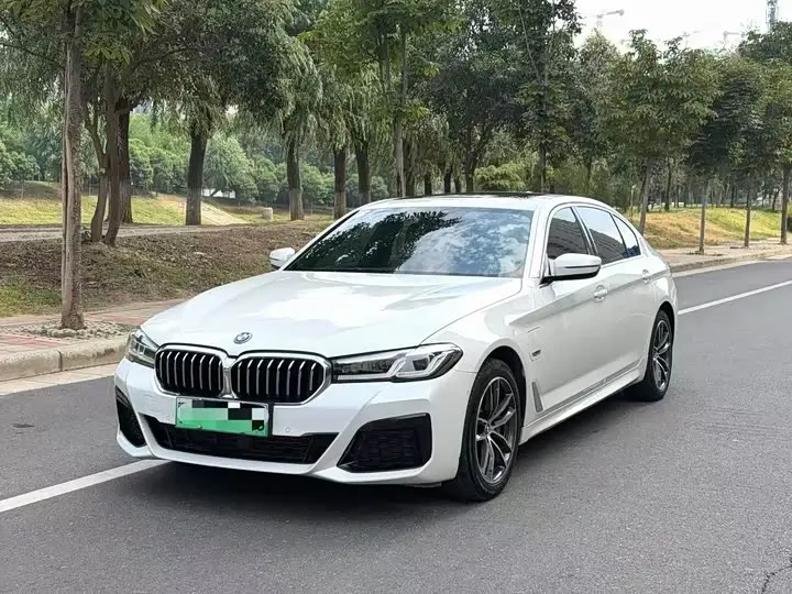 BMW 5 Series Hybrid 2022, фото из объявления