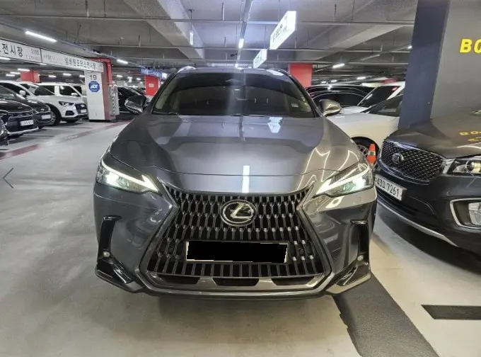 Lexus NX 2022, арт. KR-3611438 — фото 1