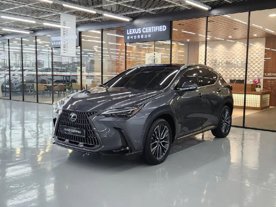 Lexus NX 2022, арт. KR-3611984 — фото 1