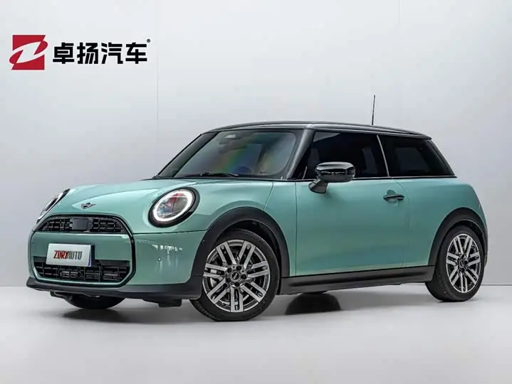 Mini Mini 2025, арт. CN-3617008 — фото 1