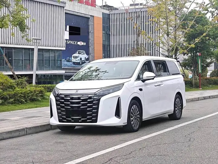 BYD Xia 2025, арт. CN-3619954 — фото 1