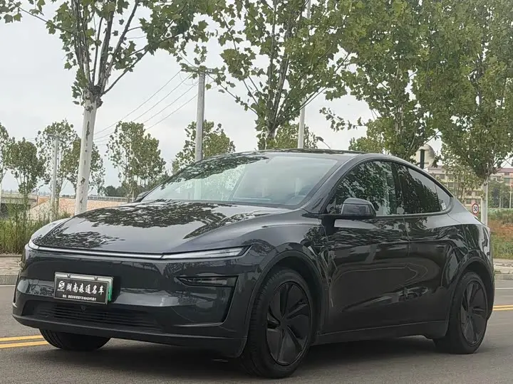 Tesla Model Y 2025, арт. CN-3620021 — фото 1