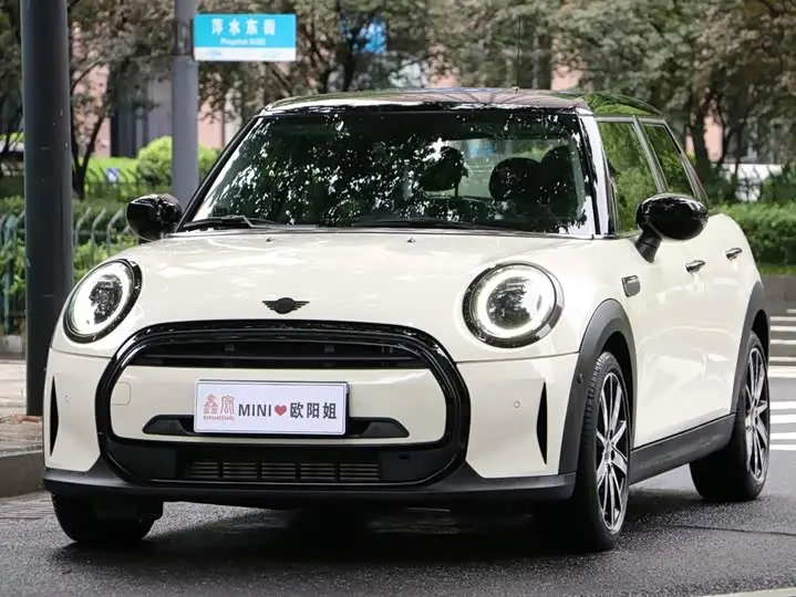 Mini Mini 2022, арт. CN-3622829 — фото 1