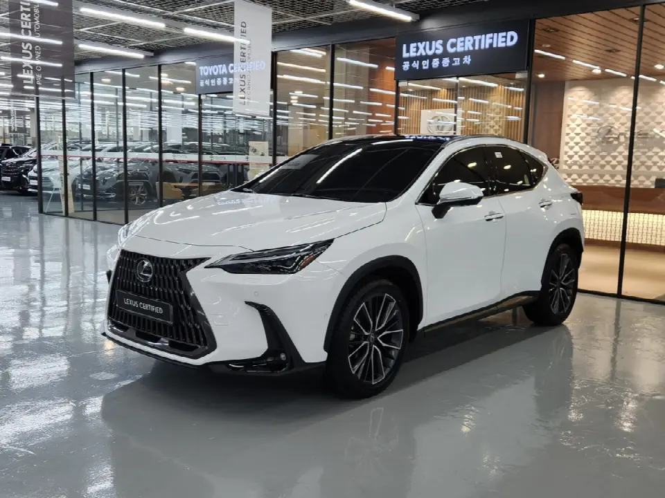 Lexus NX 2022, арт. KR-3634692 — фото 1