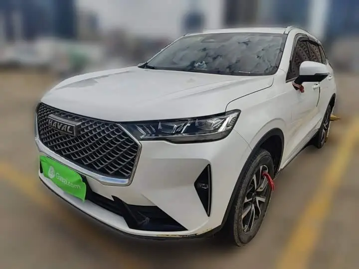 Haval H6 2021, арт. CN-3641584 — фото 1