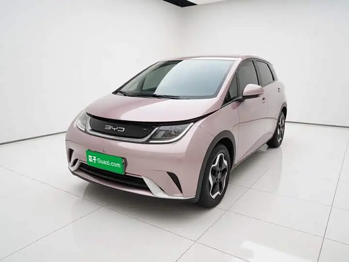 BYD Dolphin 2021, арт. CN-3641805 — фото 1