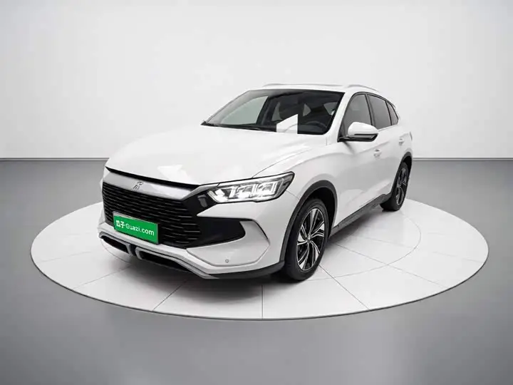BYD Song Pro Hybrid 2023, арт. CN-3642173 — фото 1