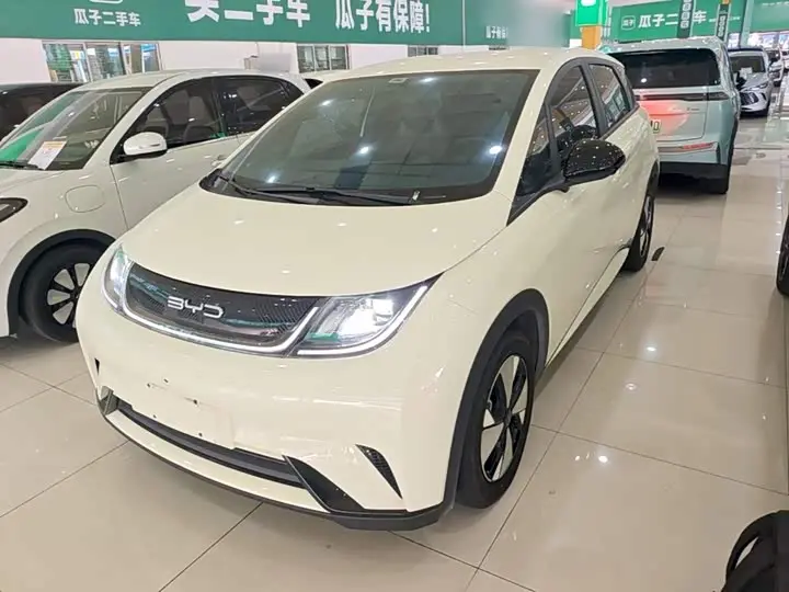 BYD Dolphin 2023, арт. CN-3642982 — фото 1