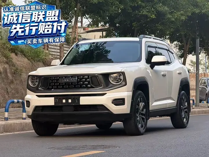 Haval H-Dog 2023, арт. CN-3643172 — фото 1