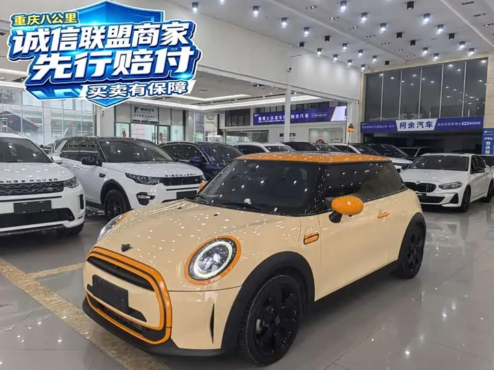 Mini Mini 2023, арт. CN-3645054 — фото 1