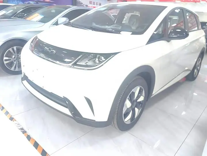 BYD Dolphin 2025, арт. CN-3645998 — фото 1