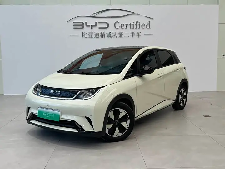 BYD Dolphin 2024, арт. CN-3646335 — фото 1