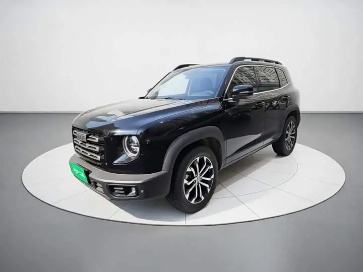 Haval Dargo 2022, арт. CN-3650002 — фото 1