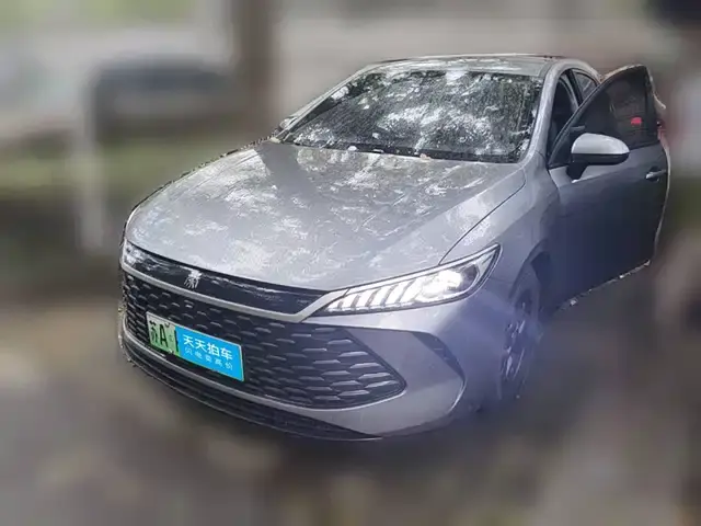 BYD Qin Plus 2025, арт. CN-3651508 — фото 1