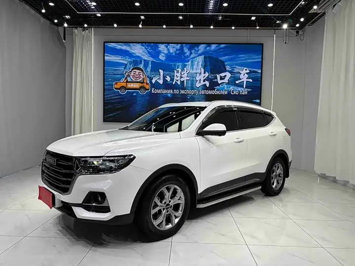 Haval H6 2021, арт. CN-3653283 — фото 1