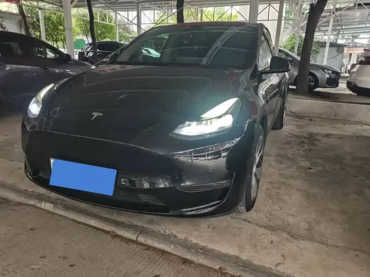 Tesla Model Y 2021, арт. CN-3653290 — фото 1