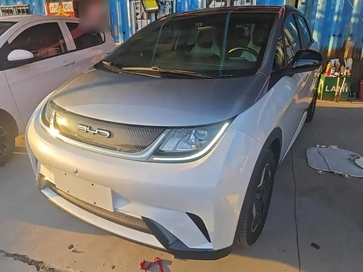 BYD Dolphin 2021, арт. CN-3653503 — фото 1