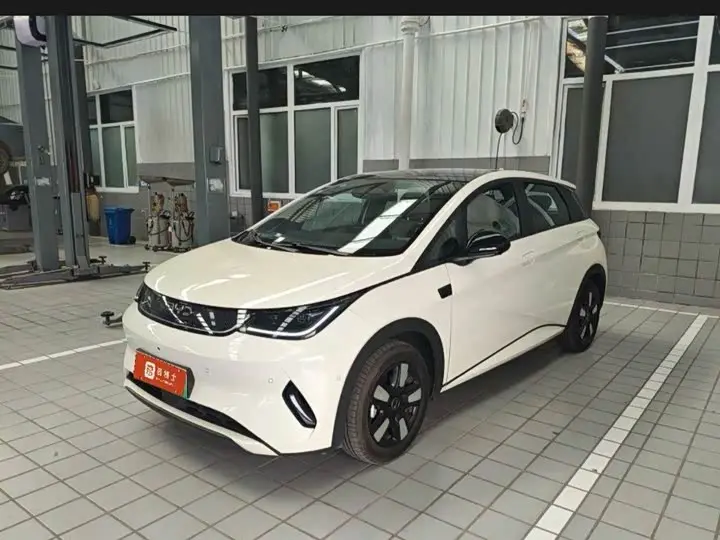 BYD Dolphin 2025, арт. CN-3654445 — фото 1