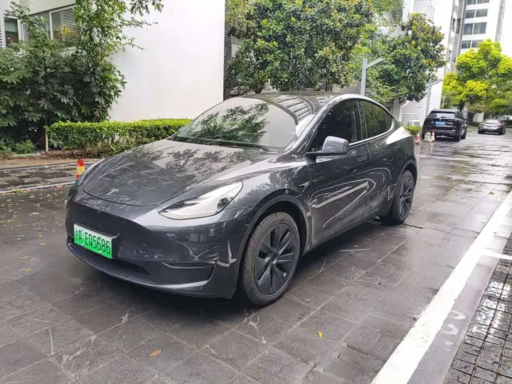 Tesla Model Y 2024, арт. CN-3654586 — фото 1