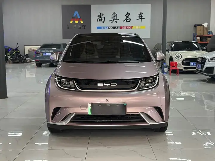 BYD Dolphin 2023, арт. CN-3654604 — фото 1