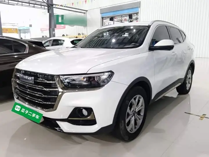 Haval H6 2021, арт. CN-3655009 — фото 1