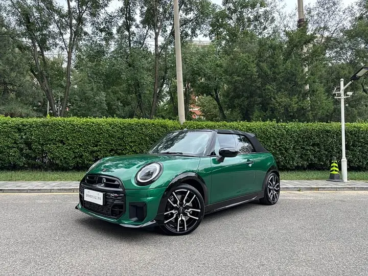 Mini Mini 2025, арт. CN-3655125 — фото 1