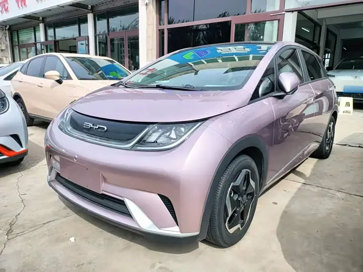BYD Dolphin 2021, арт. CN-3656020 — фото 1