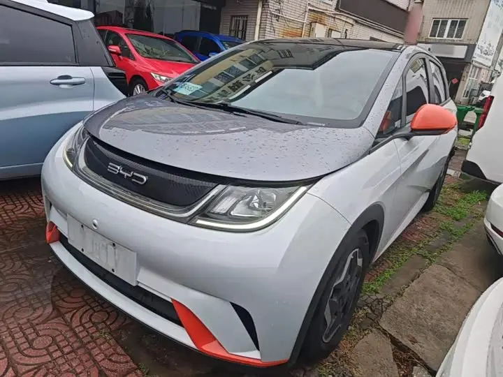 BYD Dolphin 2021, арт. CN-3656261 — фото 1