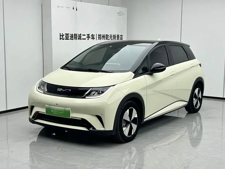 BYD Dolphin 2023, арт. CN-3656873 — фото 1