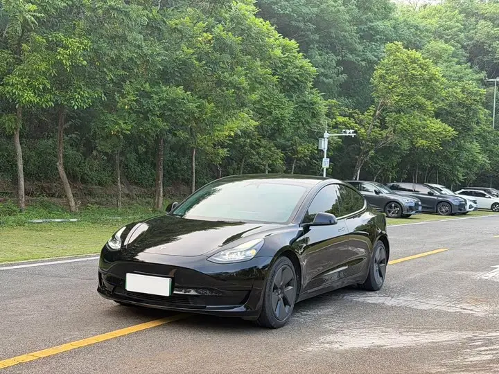 Tesla Model 3 2022, арт. CN-3657302 — фото 1