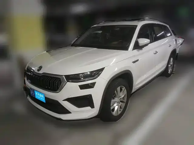 Skoda Kodiaq 2024, арт. CN-3657475 — фото 1