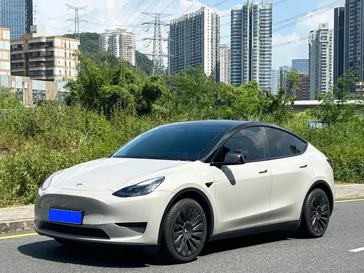 Tesla Model Y 2022, арт. CN-3657553 — фото 1