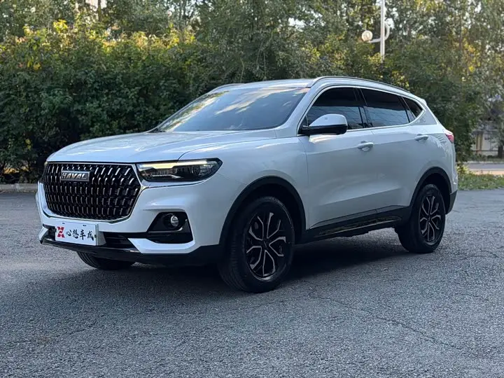 Haval H6 2023, арт. CN-3657627 — фото 1