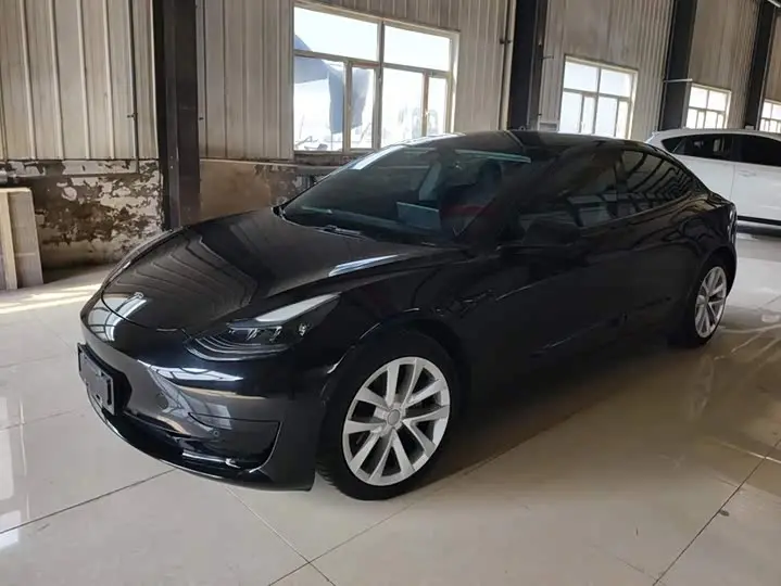 Tesla Model 3 2022, арт. CN-3658613 — фото 1