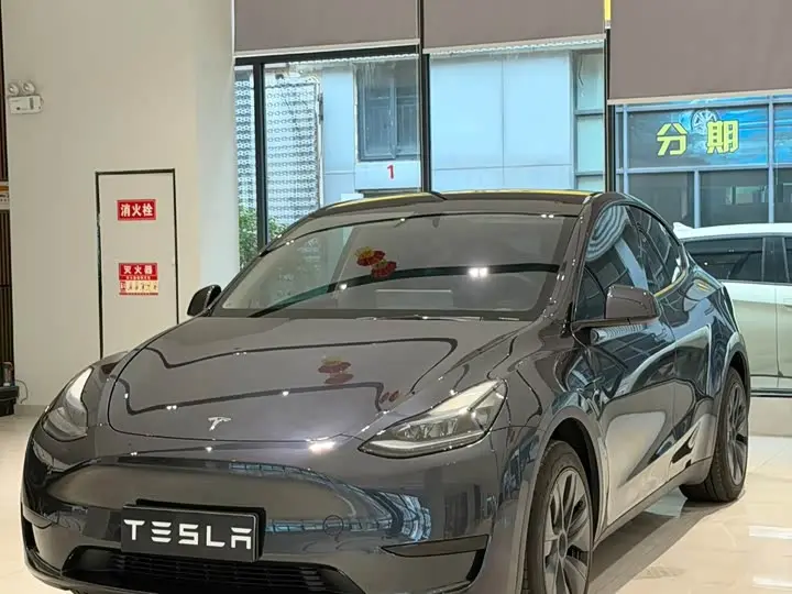 Tesla Model Y 2024, арт. CN-3658652 — фото 1