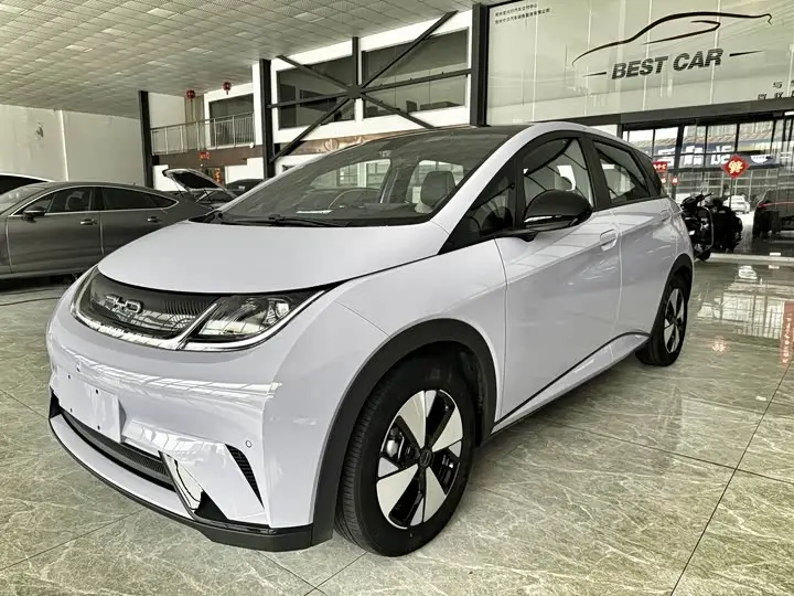 BYD Dolphin 2023, арт. CN-3658852 — фото 1