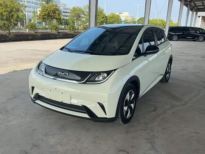 BYD Dolphin 2024, арт. CN-3659014 — фото 1