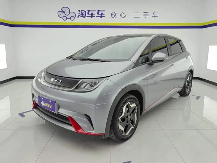 BYD Dolphin 2021, арт. CN-3659092 — фото 1