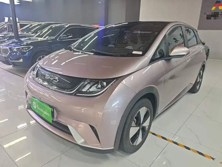 BYD Dolphin 2023, арт. CN-3659571 — фото 1