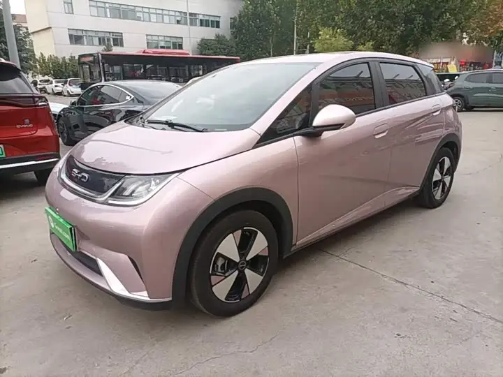 BYD Dolphin 2023, арт. CN-3659705 — фото 1
