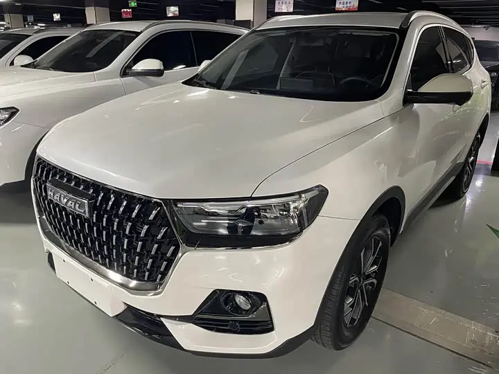 Haval H6 2023, арт. CN-3659761 — фото 1