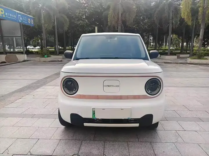 Geely Galaxy Panda Mini 2023, арт. CN-3659949 — фото 1