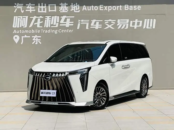 GAC Trumpchi M8 2023, арт. CN-3660227 — фото 1