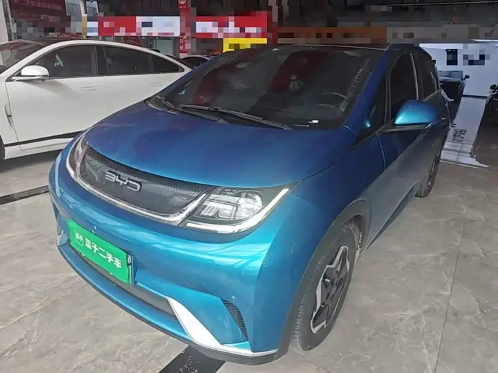 BYD Dolphin 2021, арт. CN-3660730 — фото 1
