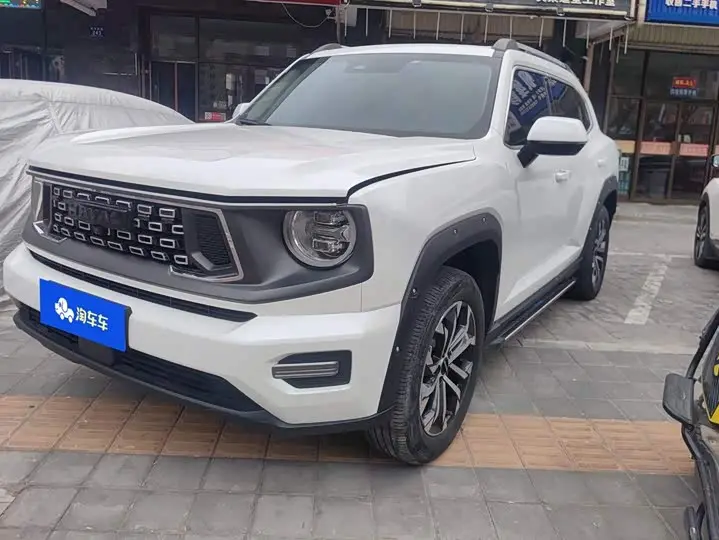 Haval H-Dog 2023, арт. CN-3660895 — фото 1