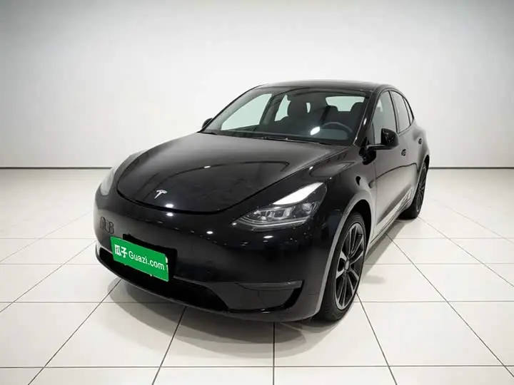Tesla Model Y 2021, арт. CN-3664436 — фото 1